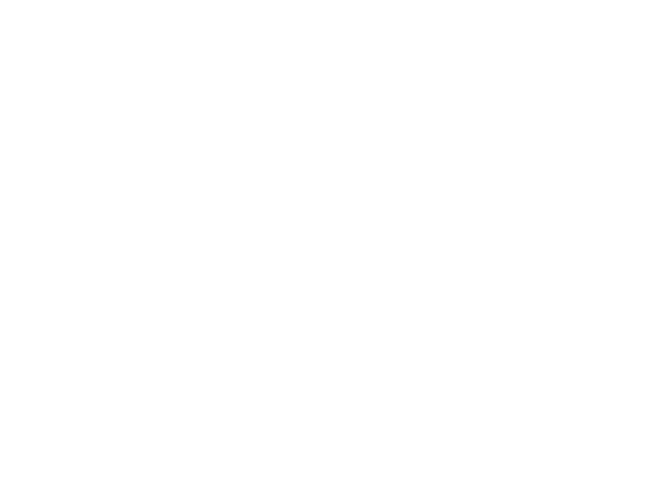 Modestus logo